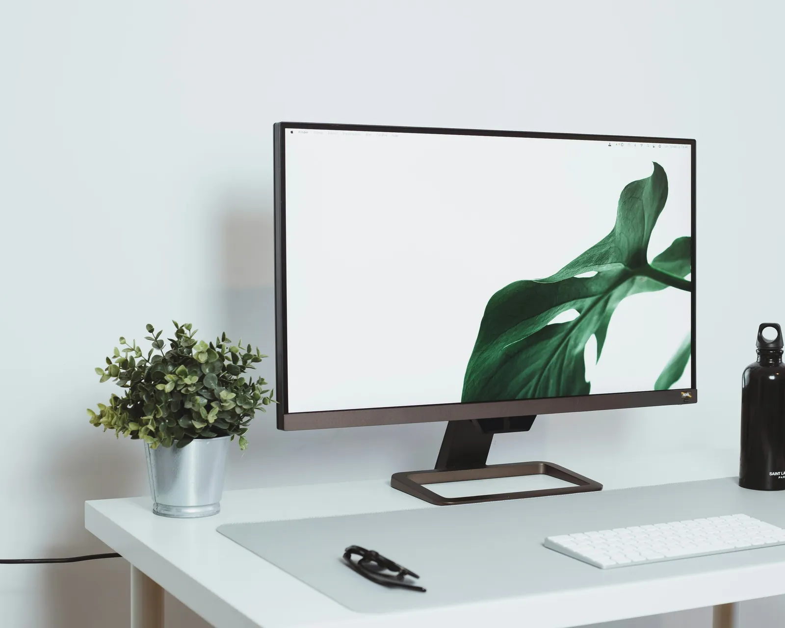 Rolig arbeidsplass med en plante